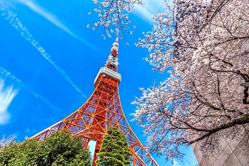 カンデオホテルズ東京新橋 4*